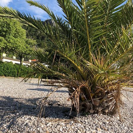 Villa Sabine Apartment Losinj Medveja Dış mekan fotoğraf